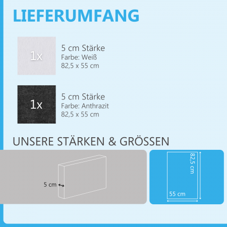 Schallabsorber aus Basotect ® G+ / 2 x Wandbild 82,5x55 cm Akustik Element Schalldämmung (Anthrazit + Weiß)